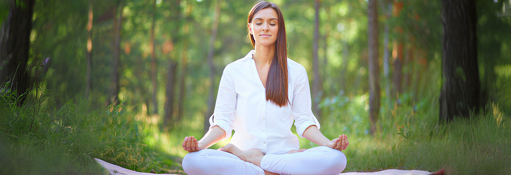 White Orchid Meditation